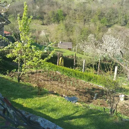 La Pumarada De Limes 2, Leitariegos * Cangas De Narcea